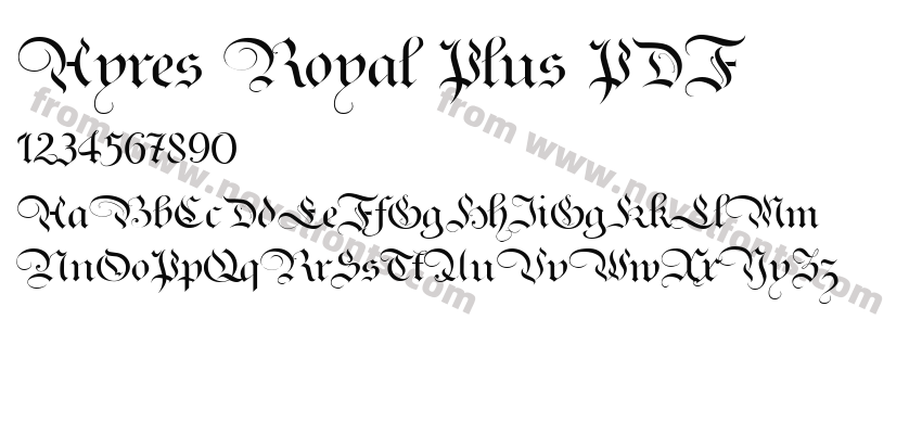 Ayres Royal Plus PDFPreview