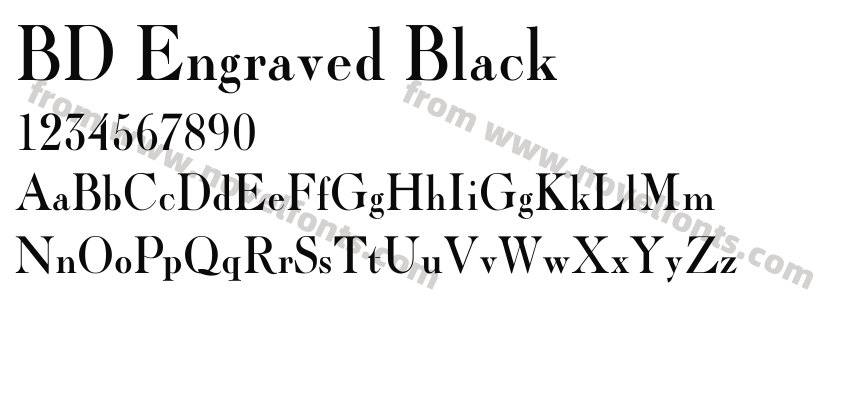 BD Engraved BlackPreview