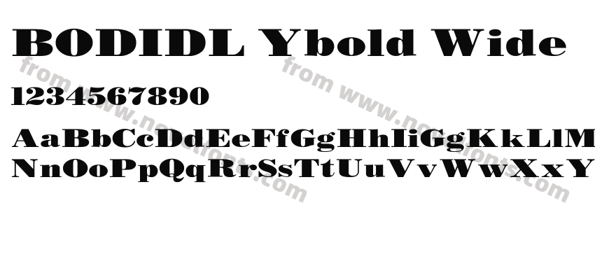 BODIDL Ybold WidePreview