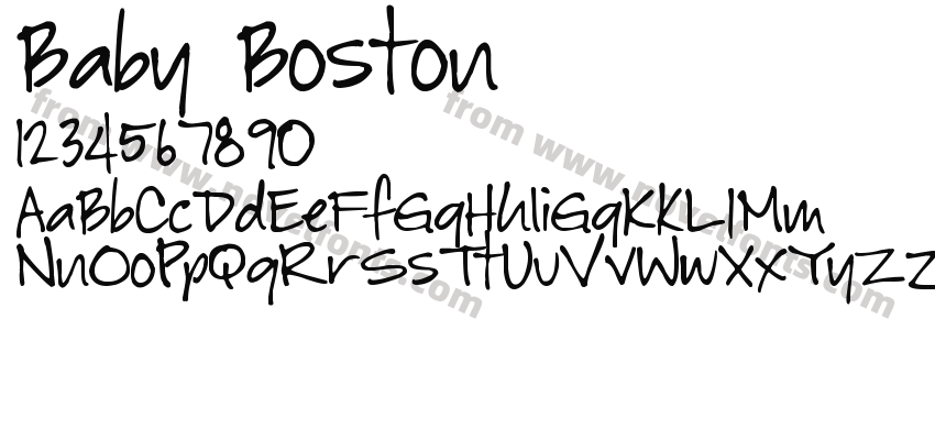 Baby BostonPreview