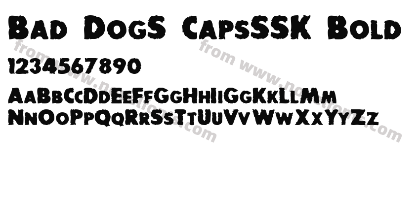 Bad DogS CapsSSK BoldPreview