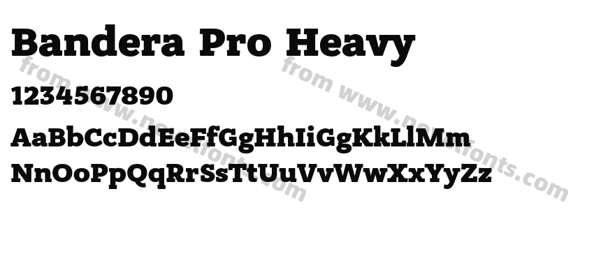 Bandera Pro HeavyPreview