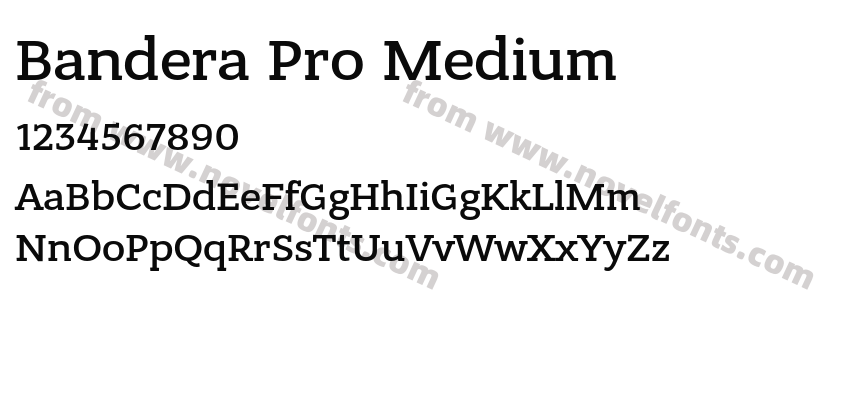 Bandera Pro MediumPreview