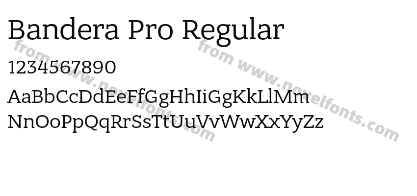 Bandera Pro RegularPreview