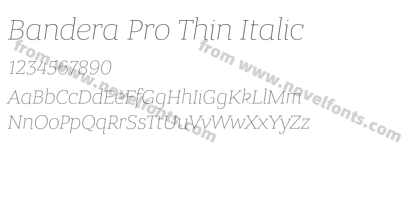 Bandera Pro Thin ItalicPreview