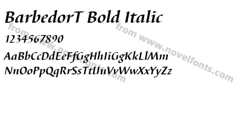 BarbedorT Bold ItalicPreview