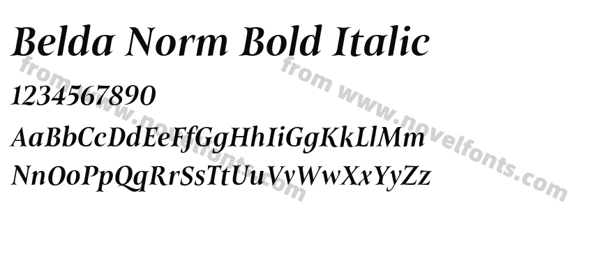 Belda Norm Bold ItalicPreview