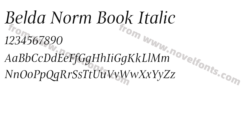 Belda Norm Book ItalicPreview