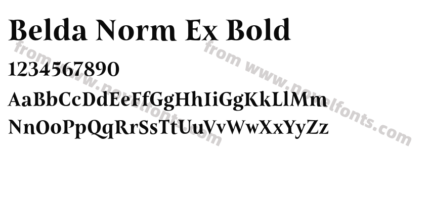 Belda Norm Ex BoldPreview