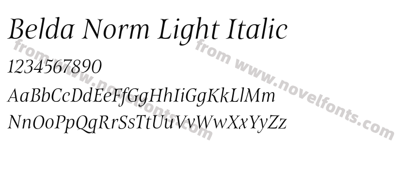 Belda Norm Light ItalicPreview