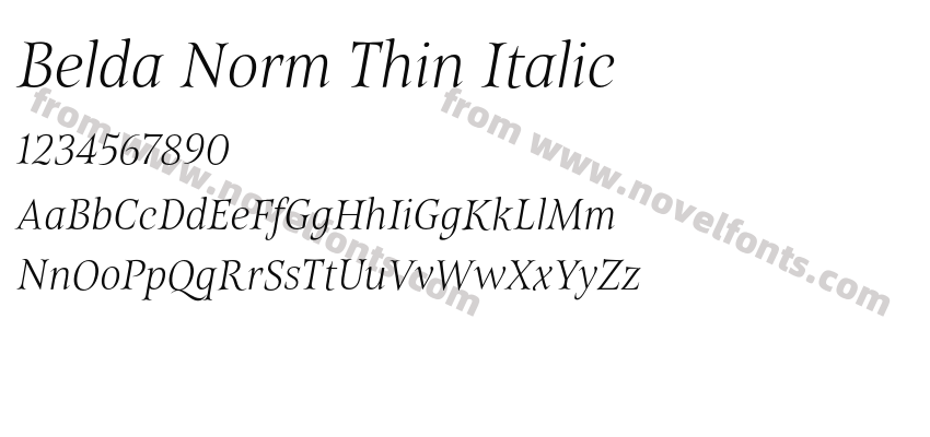 Belda Norm Thin ItalicPreview