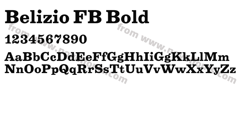 Belizio FB BoldPreview