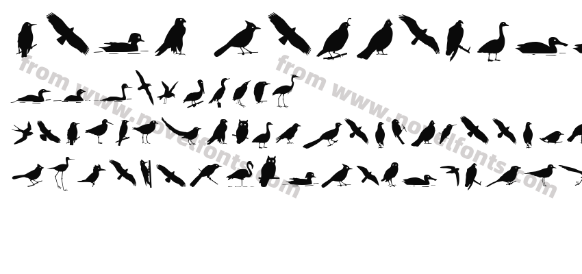 Bird Silhouettes reversePreview