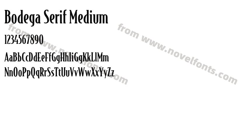 Bodega Serif MediumPreview