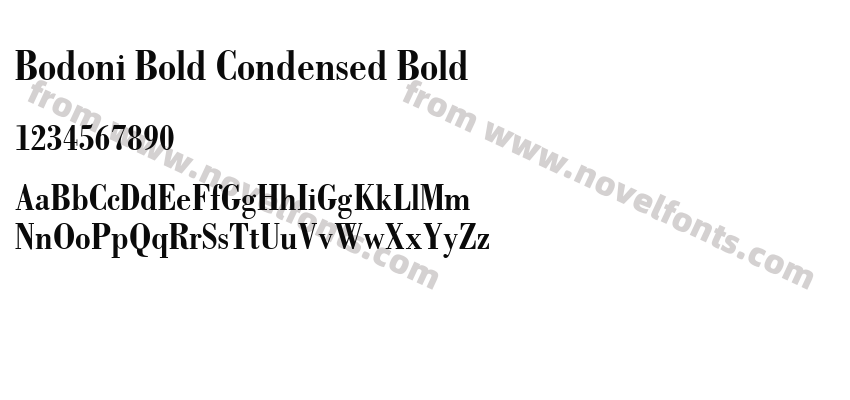 Bodoni Bold Condensed BoldPreview