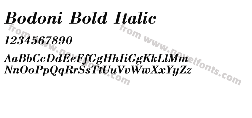 Bodoni Bold ItalicPreview