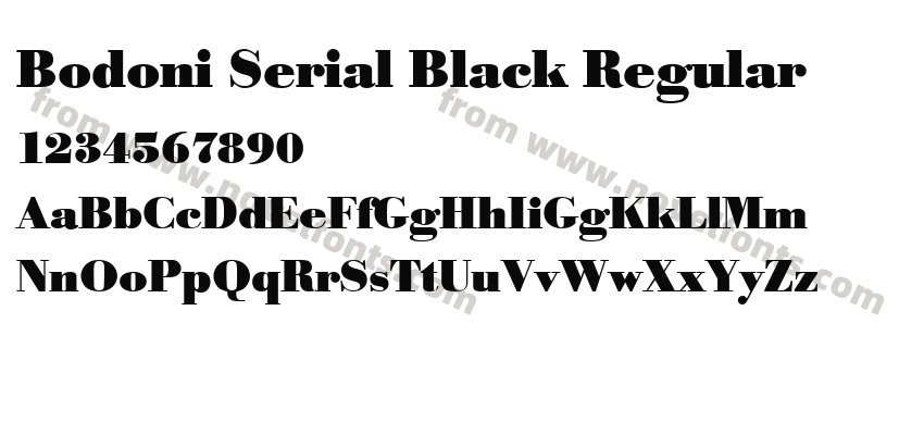 Bodoni Serial Black RegularPreview