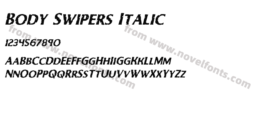 Body Swipers ItalicPreview