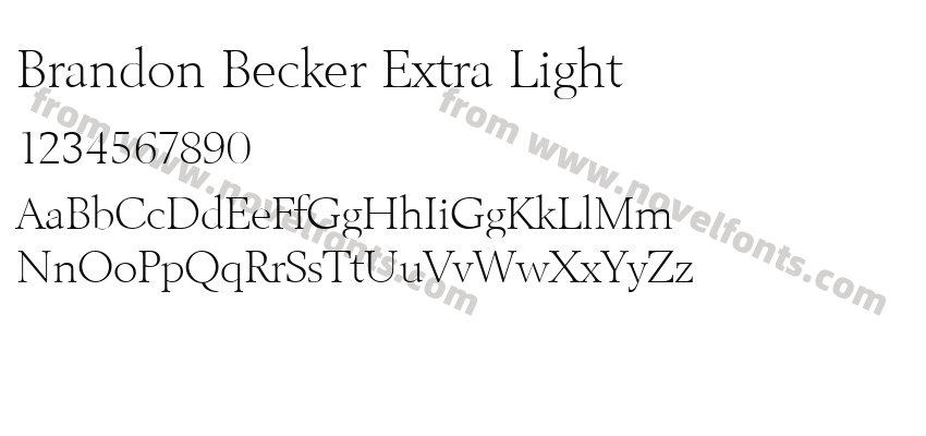 Brandon Becker Extra LightPreview