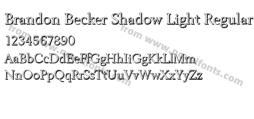 Brandon Becker Shadow Light RegularPreview