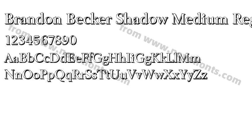 Brandon Becker Shadow Medium RegularPreview