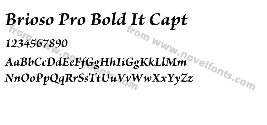 Brioso Pro Bold It CaptPreview