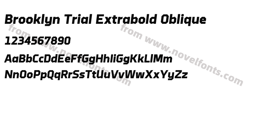 Brooklyn Trial Extrabold ObliquePreview