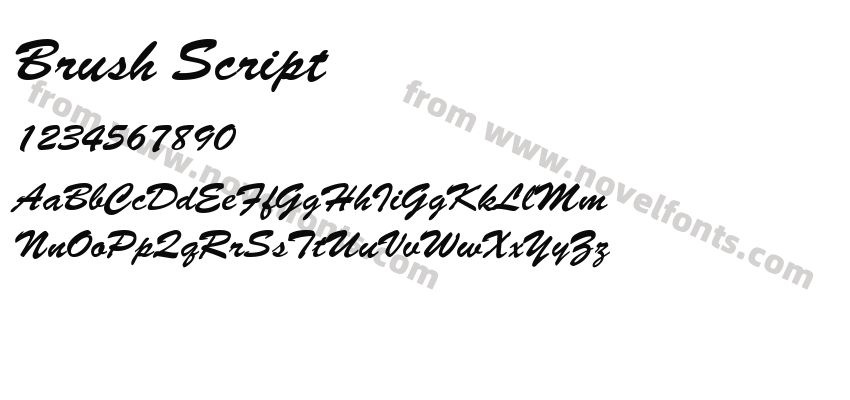 Brush ScriptPreview