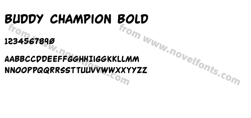 Buddy Champion BoldPreview