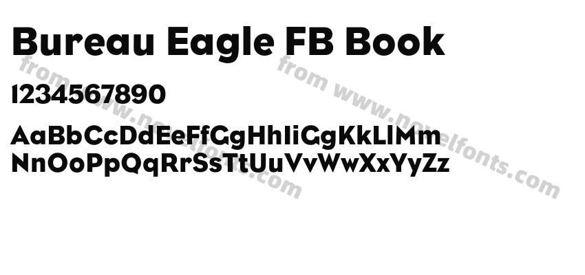 Bureau Eagle FB BookPreview