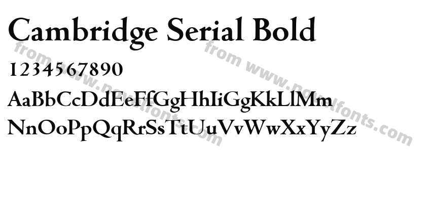 Cambridge Serial BoldPreview