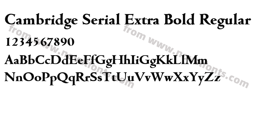 Cambridge Serial Extra Bold RegularPreview