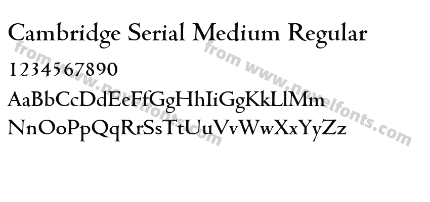 Cambridge Serial Medium RegularPreview