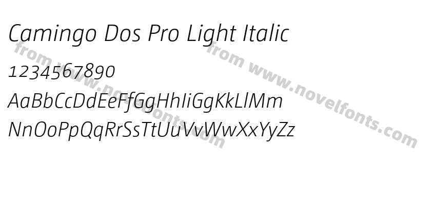 Camingo Dos Pro Light ItalicPreview