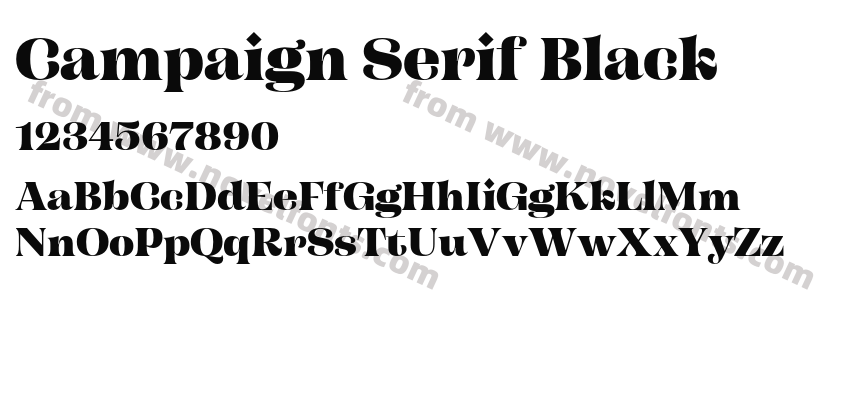 Campaign Serif BlackPreview