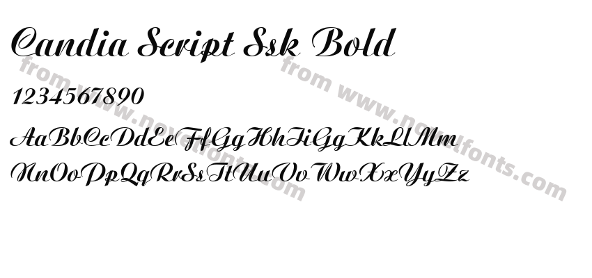 Candia Script Ssk BoldPreview