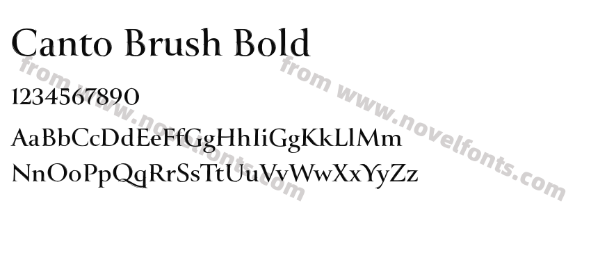 Canto Brush BoldPreview