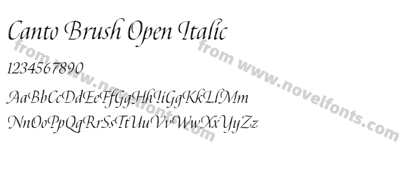 Canto Brush Open ItalicPreview