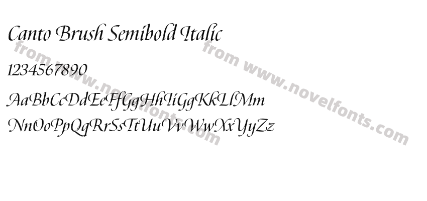 Canto Brush Semibold ItalicPreview