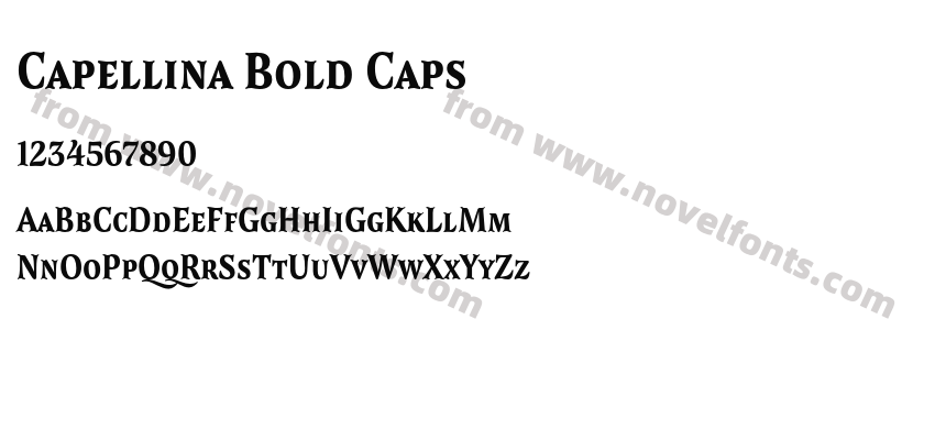 Capellina Bold CapsPreview