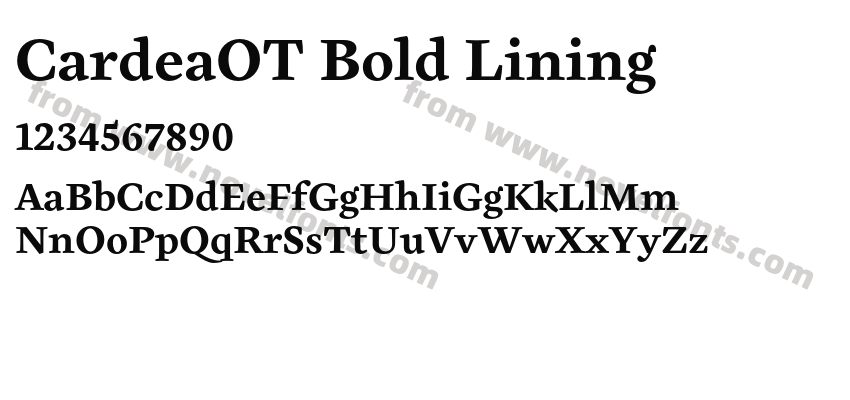 CardeaOT Bold LiningPreview