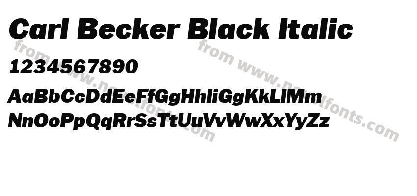 Carl Becker Black ItalicPreview