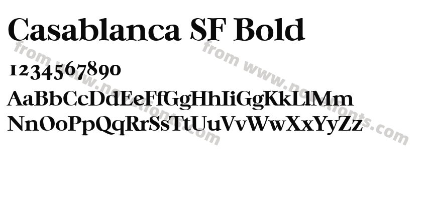 Casablanca SF BoldPreview