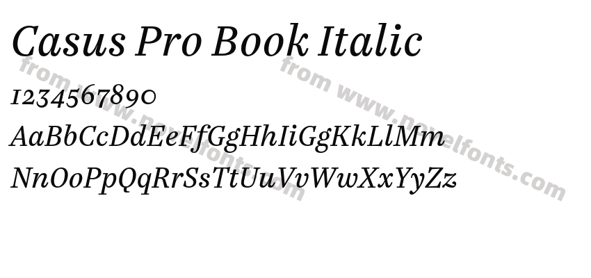 Casus Pro Book ItalicPreview