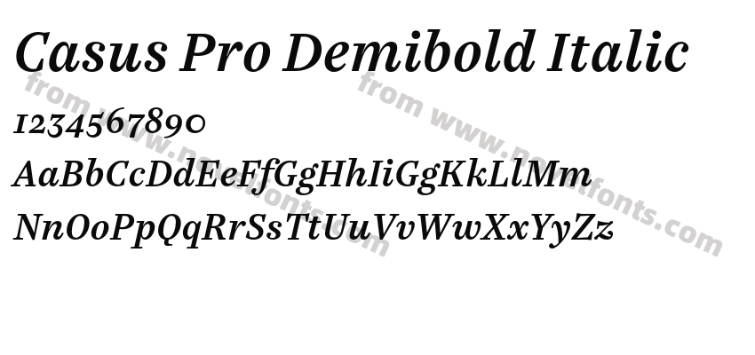 Casus Pro Demibold ItalicPreview