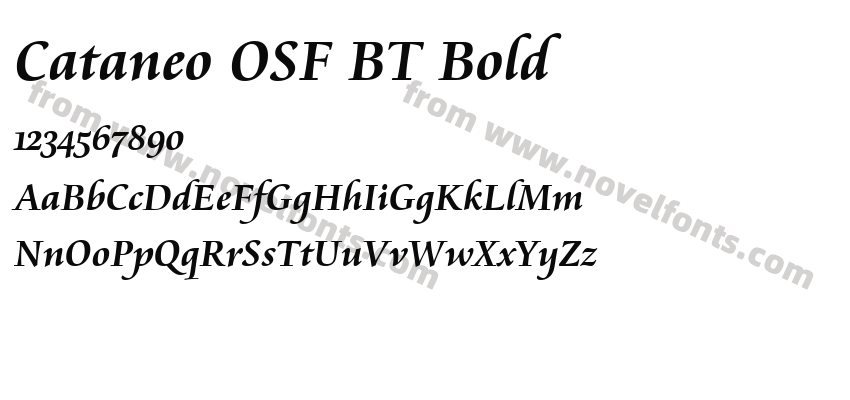 Cataneo OSF BT BoldPreview