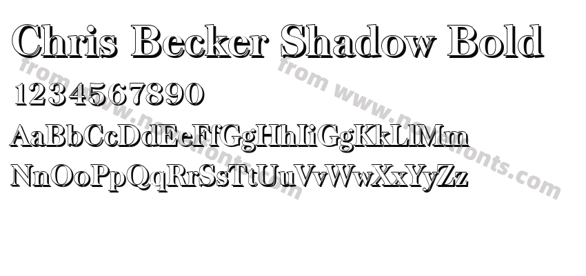 Chris Becker Shadow BoldPreview