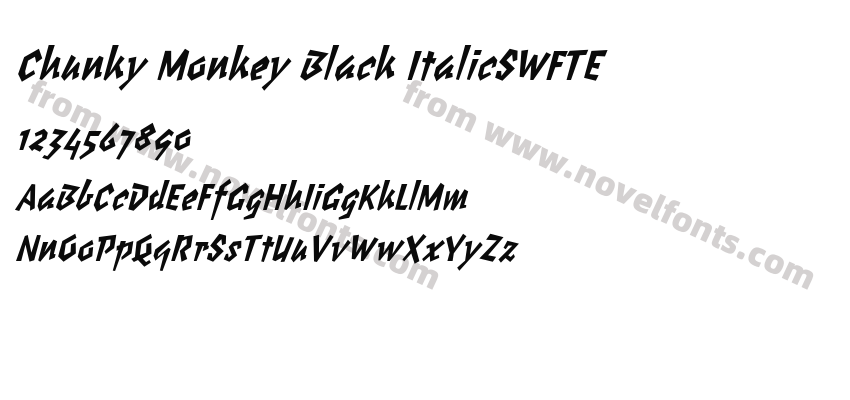 Chunky Monkey Black ItalicSWFTEPreview