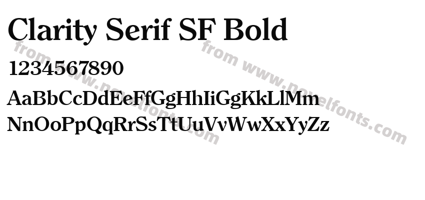 Clarity Serif SF BoldPreview