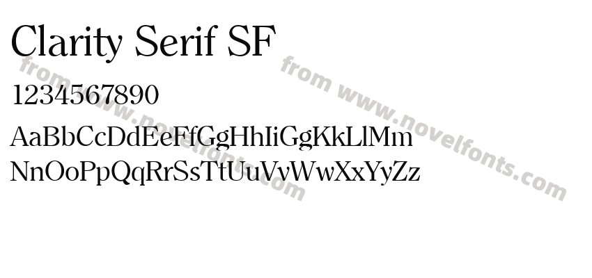 Clarity Serif SFPreview